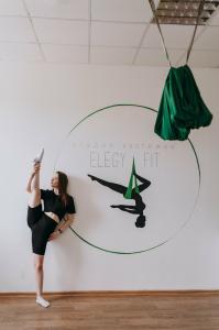 Фотография Elegy.fit 5